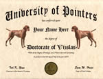 Vizla Diploma